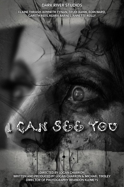 Póster de I Can See You