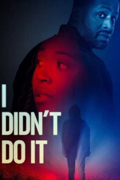 Póster de I Didn't Do It