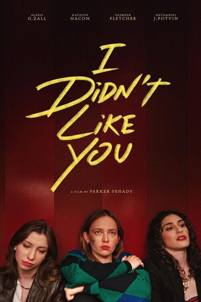 Póster de I Didn't Like You