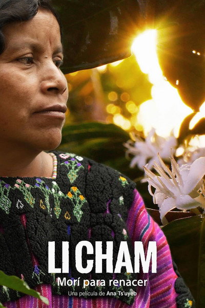 Póster de I Died