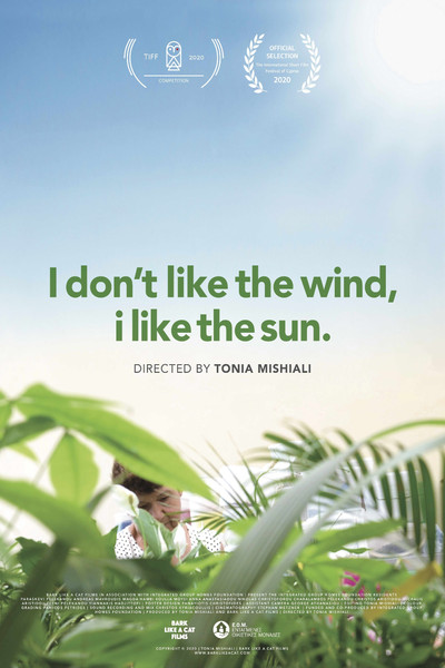 Póster de I Don't Like the Wind, I Like the Sun