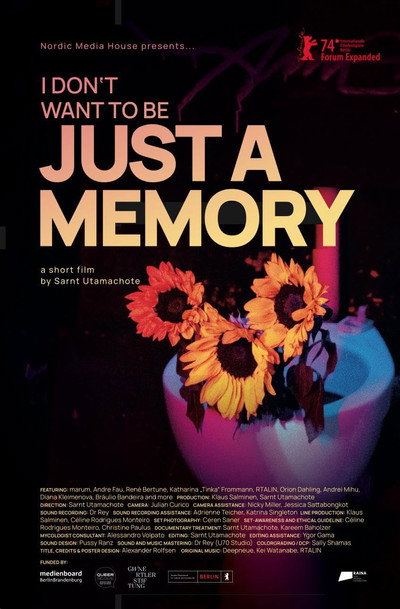 Póster de I Don't Want to Be Just A Memory