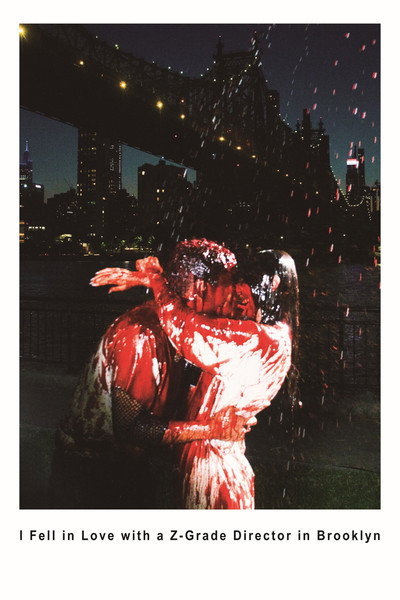 Póster de I Fell in Love with a Z-Grade Director in Brooklyn
