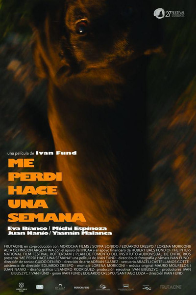 Póster de I Got Lost a Week Ago