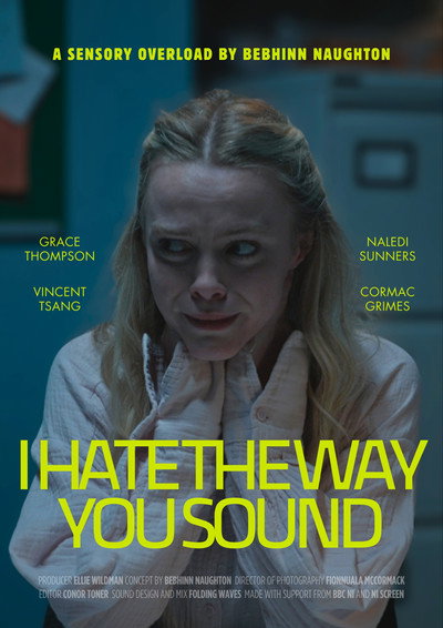 Póster de I Hate the Way You Sound
