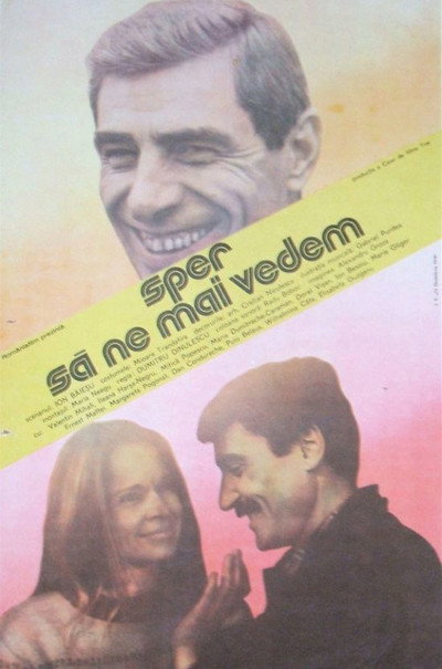 Póster de I Hope to See You Again