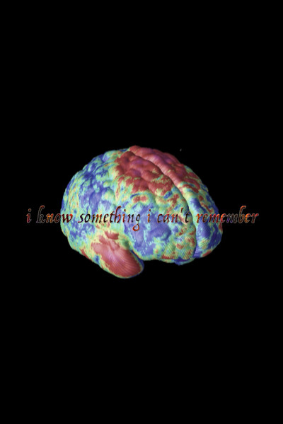 Póster de I Know Something I Can't Remember