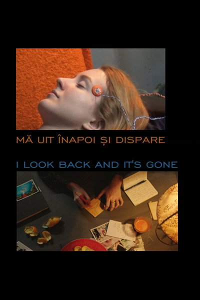 Póster de I Look Back and It's Gone