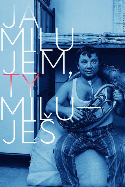 Póster de I Love, You Love