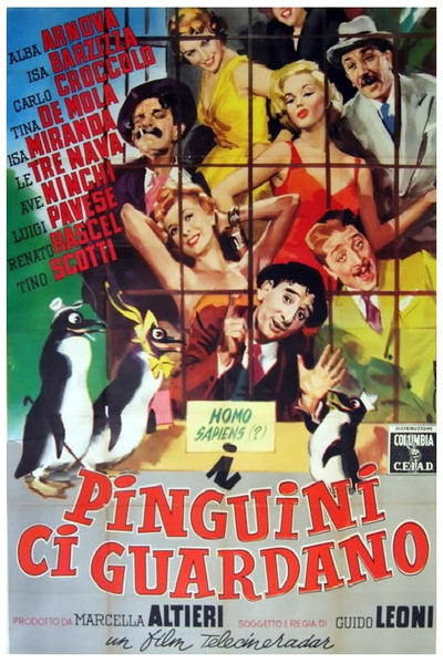 Póster de I pinguini ci guardano