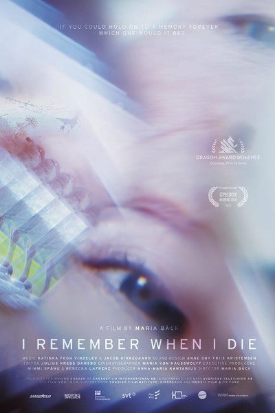 Póster de I Remember When I Die