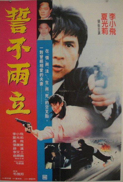 Póster de I Revenge for My Son
