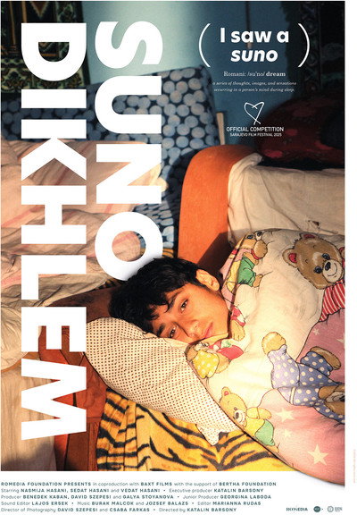Póster de I Saw a Suno