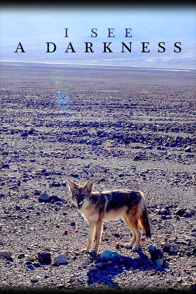 Póster de I See a Darkness