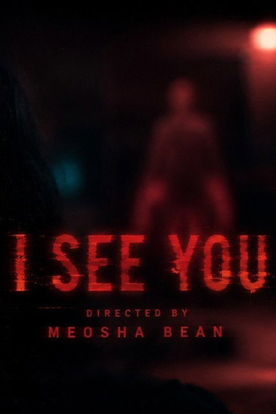 Póster de I See You