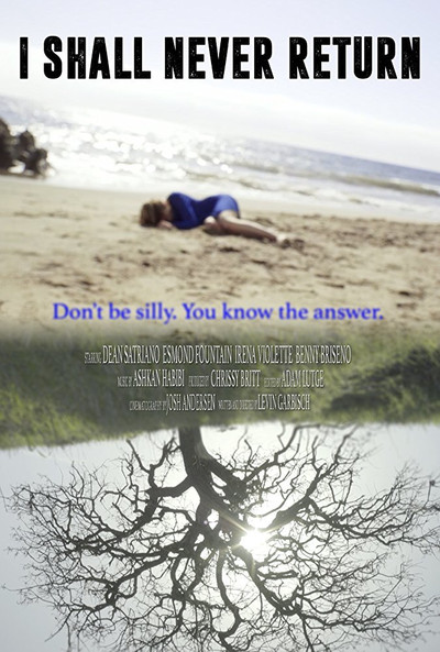 Póster de I Shall Never Return