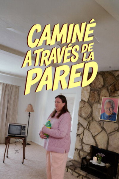 Póster de I Walked Through the Wall