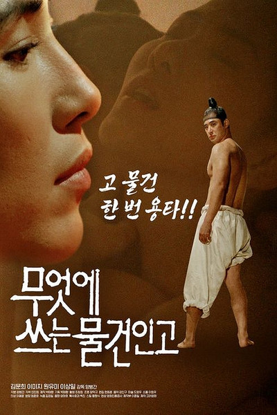 Póster de I Will Survive