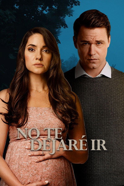 Póster de I Won't Let You Go