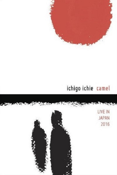 Póster de Ichigo Ichie: Camel Live in Japan