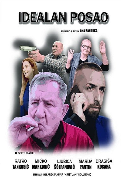 Póster de Idealan posao