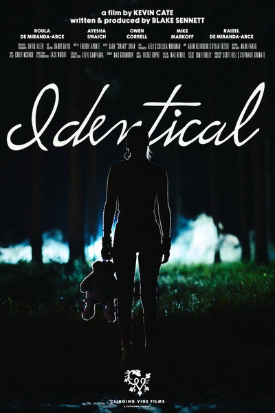 Póster de Identical