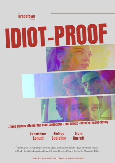 Póster de Idiot-Proof