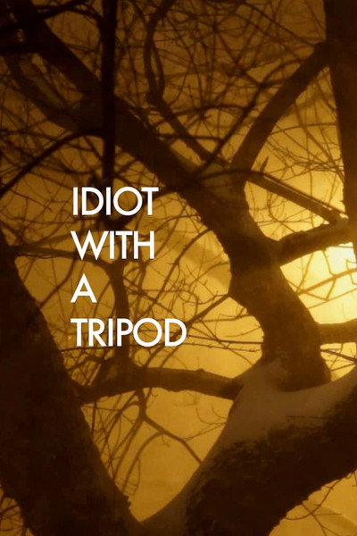 Póster de Idiot with a Tripod