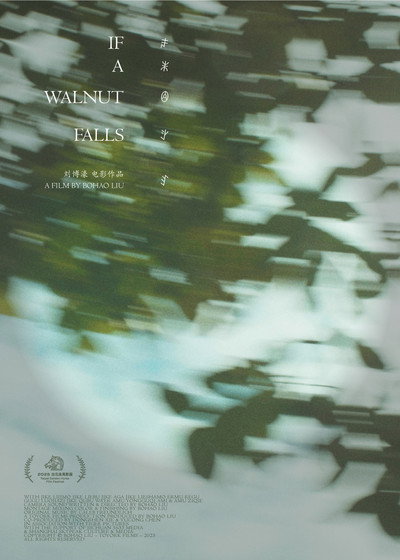 Póster de If a Walnut Falls