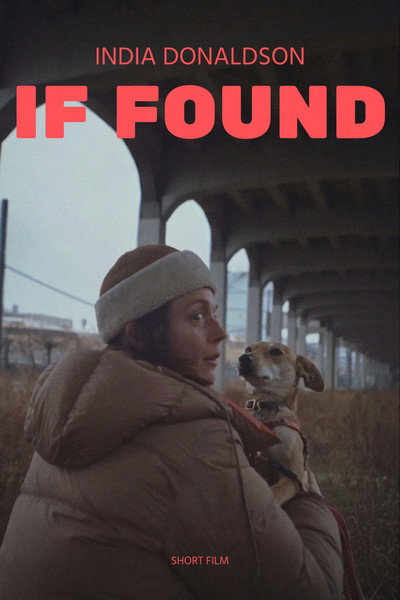 Póster de If Found