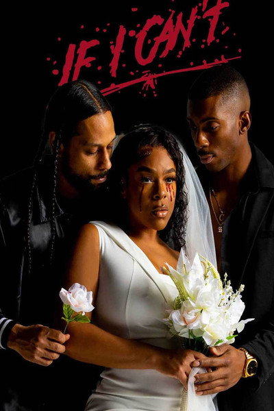 Póster de If I Can't