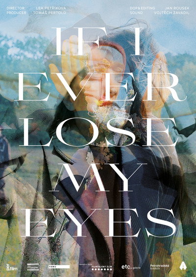 Póster de If I Ever Lose My Eyes