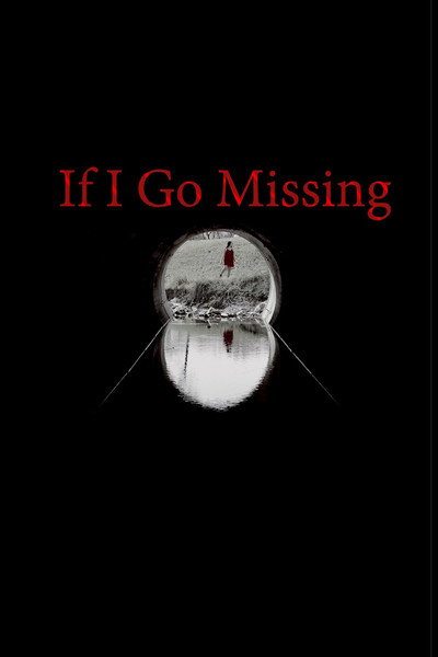 Póster de If I Go Missing