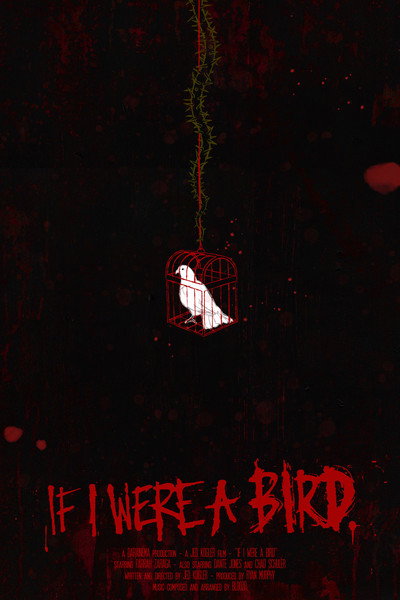 Póster de If I Were A Bird