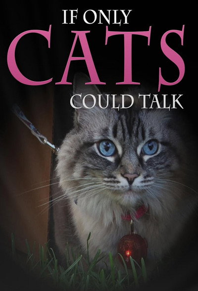 Póster de If Only Cats Could Talk