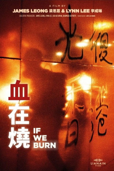 Póster de If We Burn