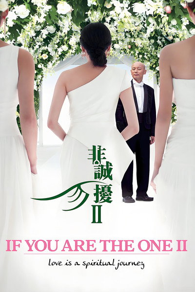 Póster de If You Are the One 2