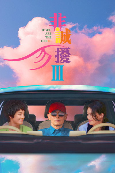 Póster de If You Are the One 3