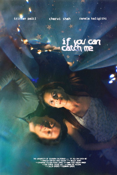 Póster de If You Can Catch Me