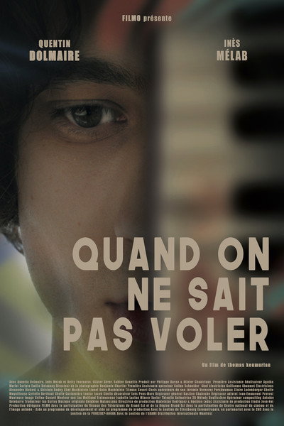 Póster de If You Can't Fly