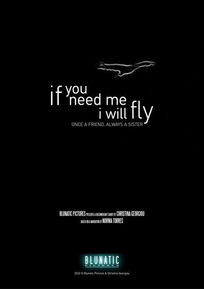 Póster de If You Need Me, I Will Fly