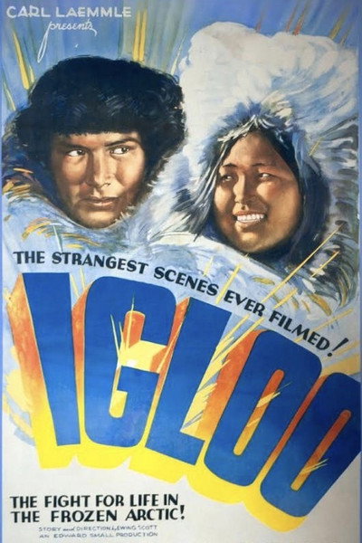 Póster de Igloo