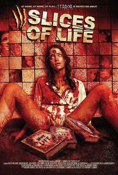 Póster de III Slices of Life