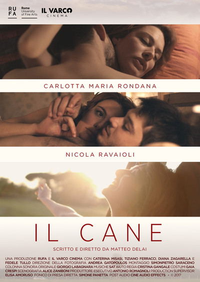 Póster de Il cane