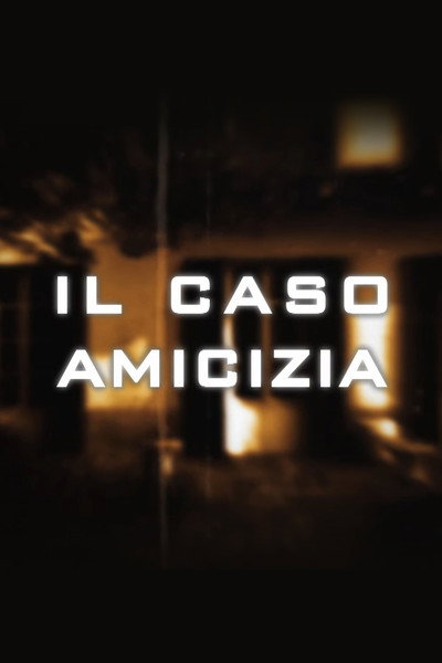 Póster de Il caso Amicizia