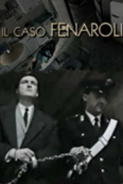 Póster de Il caso Fenaroli