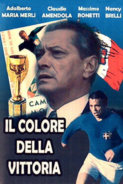 Póster de Il colore della vittoria