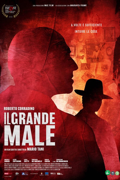 Póster de Il grande male