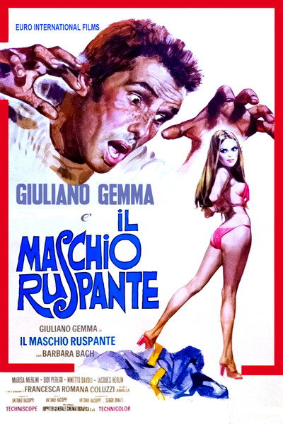Póster de Il maschio ruspante