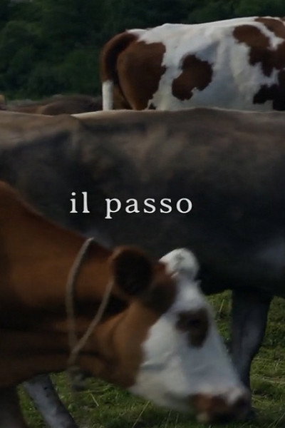 Póster de Il passo